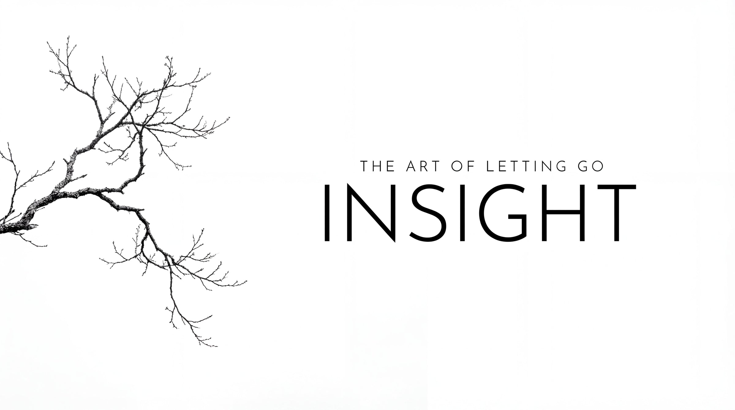Insight #3