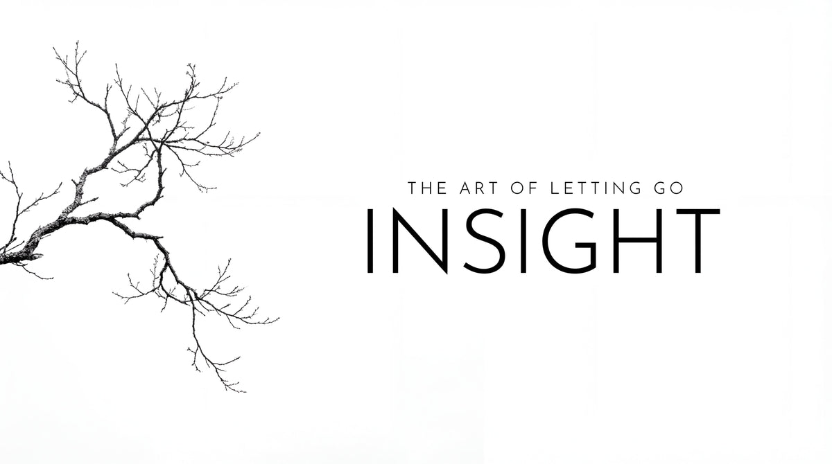 insight #8