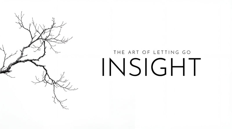 insight #7